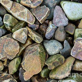 Rock Candy by Sandra Bronstein