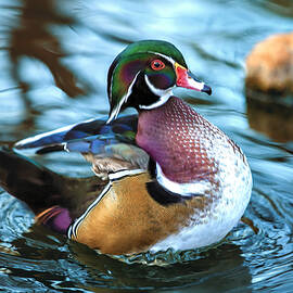 Rocking Woody by Bill and Linda Tiepelman