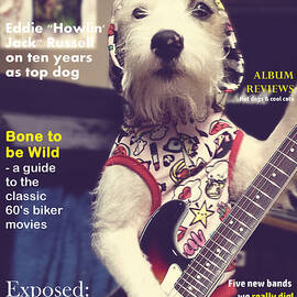 Rolling Bone Magazine by Richard Reeve