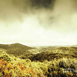 Rolling hills of the Tarkine, Tasmania by Jorgo Photography