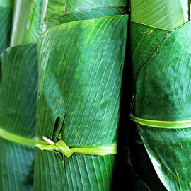 Rolls of banana tree by Sami Sarkis Photography