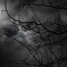 Ruler Of The Night by Lourry Legarde