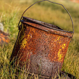 Rusty Gold by Kelley King