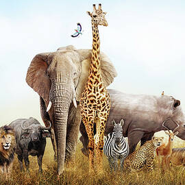 Safari Animals in Africa Composite by Good Focused