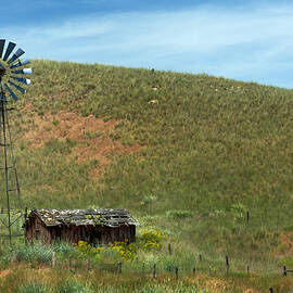 Sagebrush Cabin by Mary Jo Allen