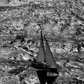 Sailing Home by David Shuler