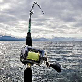 Salmon Fishing Rod by Darcy Michaelchuk