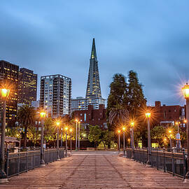 San Francisco skyline from Pier 7 after sunset by Miroslav Liska