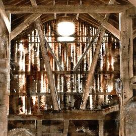 Sanctuary by Amanda Amend