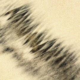 Sand Painting by David Shuler