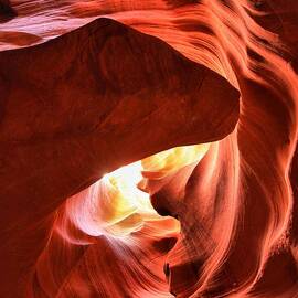 Sandstone Dog Abstract by Adam Jewell