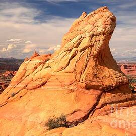 Sandstone Gopher by Adam Jewell