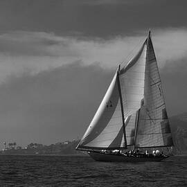Schooner off Point Loma by David Shuler