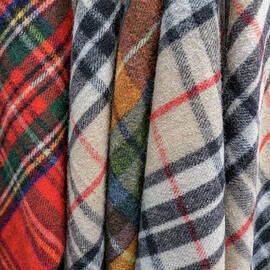 Scottish Plaids by Jean Noren