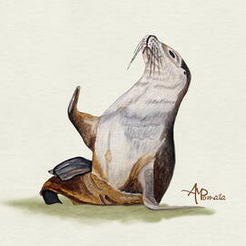 Sea Lion Watercolor II by Angeles M Pomata