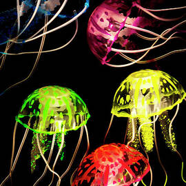 Sea of colours by Jorgo Photography