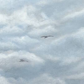 Seagulls playground by Angeles M Pomata