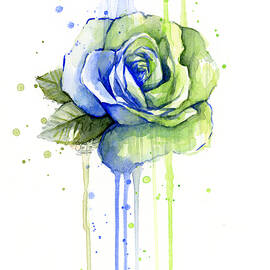 Seattle 12th Man Seahawks Watercolor Rose by Olga Shvartsur