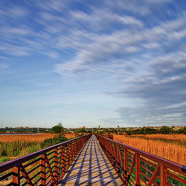 Secaucus Greenway Trail NJ by Susan Candelario