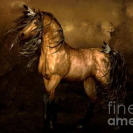 Shikoba Choctaw Horse by Shanina Conway