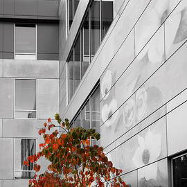 Shoreline City Hall by Mary Jo Allen