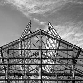 Shoreline Greenhouse by Mary Jo Allen