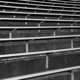 Shoreline Stadium by Mary Jo Allen