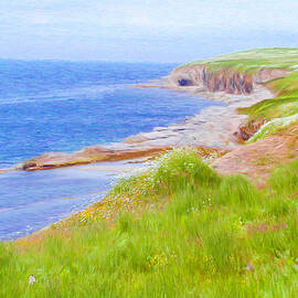 Shores of Newfoundland by Jeffrey Kolker