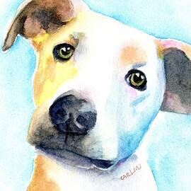 Short Hair White and Brown Dog by Carlin Blahnik CarlinArtWatercolor