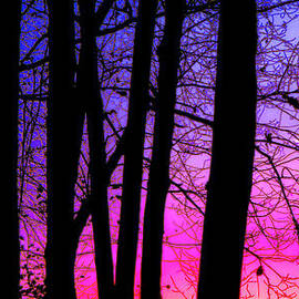 Silence by Olivier Le Queinec