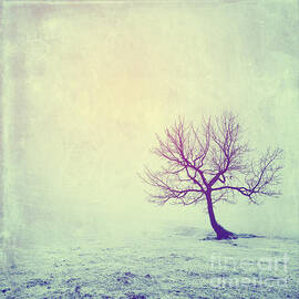 Silence to Chaos - 11t01 by Variance Collections