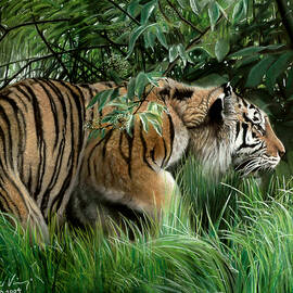 Silent Intention by David Vincenzi