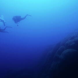 Silhouettes of three scuba divers swimming in the blue waters by Sami Sarkis Photography