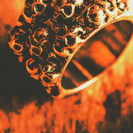 Silver skulls pirate ring by Jorgo Photography