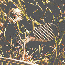 Silver sports by Jorgo Photography