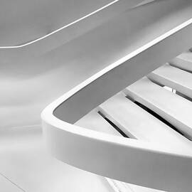 Sinuous in White by Jessica Jenney