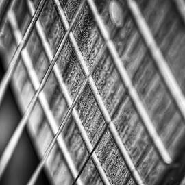 Six strings by Scott Norris