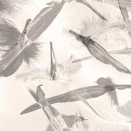 Skies of a feather by Jorgo Photography