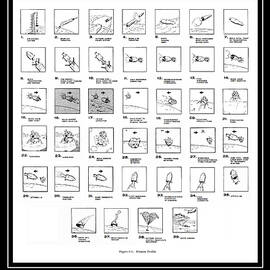 Small Steps to the Moon by Richard Reeve