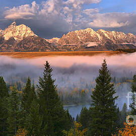 Snake River Fog Framed By Pines by Adam Jewell