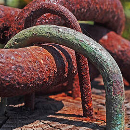 Snaking Rust  by Rona Black