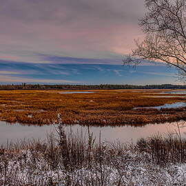 Snow Dusted Marsh by Dale Kauzlaric