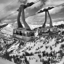 Snowbird Hidden Peak Trams Black And White by Adam Jewell