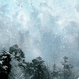 Snowfall by Gina Harrison