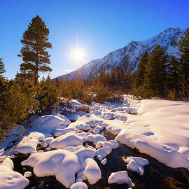 Snowy iced creek in the forest by Miroslav Liska