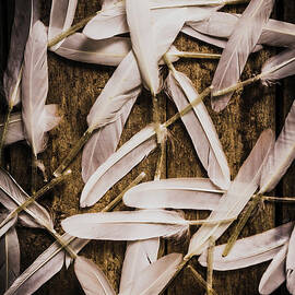 Soft symbol of peace and hope by Jorgo Photography