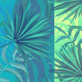 soft tropic  by Mark Ashkenazi