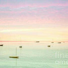 Softness And Light by Evelina Kremsdorf