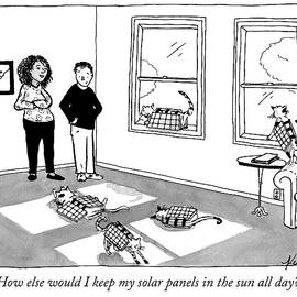 Solar panels in the sun all day by Kendra Allenby