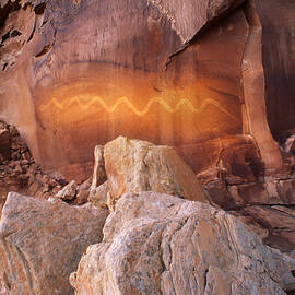 Solstice Snake by Dan Norris